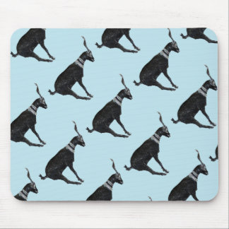 Lycklig get musmatta