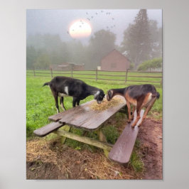 Lycklig getter vid solnedgång poster