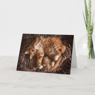Lycklig Ginger Cat Birthday Card Kort