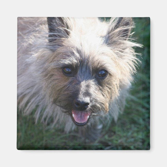 Lycklig Girl Magnet (Framsidan)