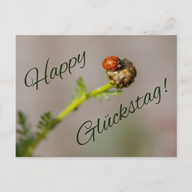 Lycklig Glückstag - mit Marienkäfer! Vykort (Framsida)