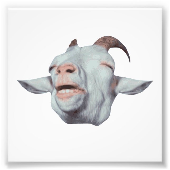 Lycklig Goat är täckt Fototryck (Framsidan)