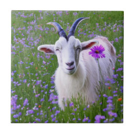 Lycklig Goat Kakelplatta