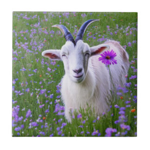 Lycklig Goat Kakelplatta