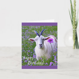 Lycklig Goat Kort