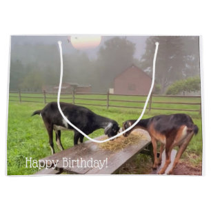 Lycklig Goat Sunset Birthday