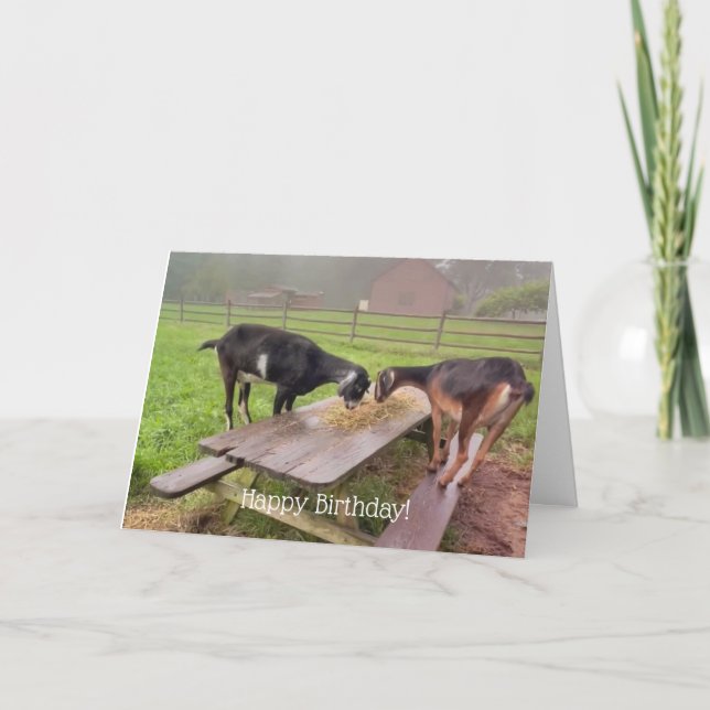 Lycklig Goats Sunset Birthday Kort (Framsida)