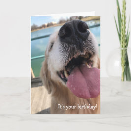 Lycklig Golden Retriever Birthday Kort