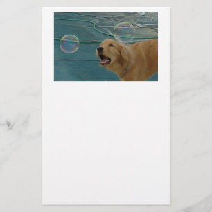 Lycklig Golden Retriever Brevpapper