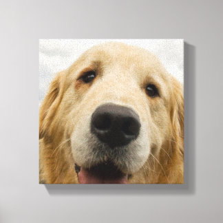 Lycklig Golden Retriever Canvastryck