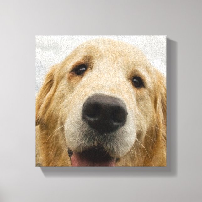 Lycklig Golden Retriever Canvastryck (Framsida)