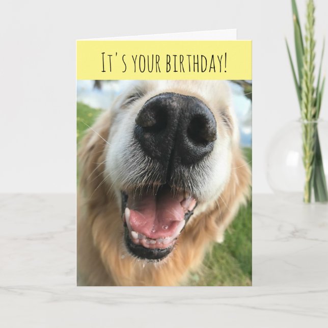 Lycklig Golden Retriever Hund Birthday Firation Kort (Framsida)
