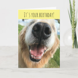 Lycklig Golden Retriever Hund Birthday Firation Kort
