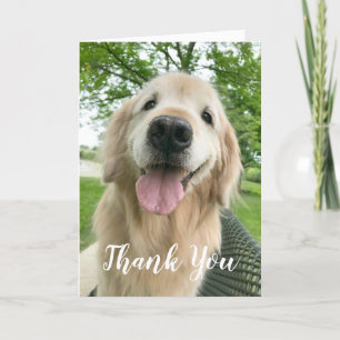 Lycklig Golden Retriever Hund Tack Kort