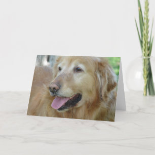 Lycklig Golden Retriever Kort