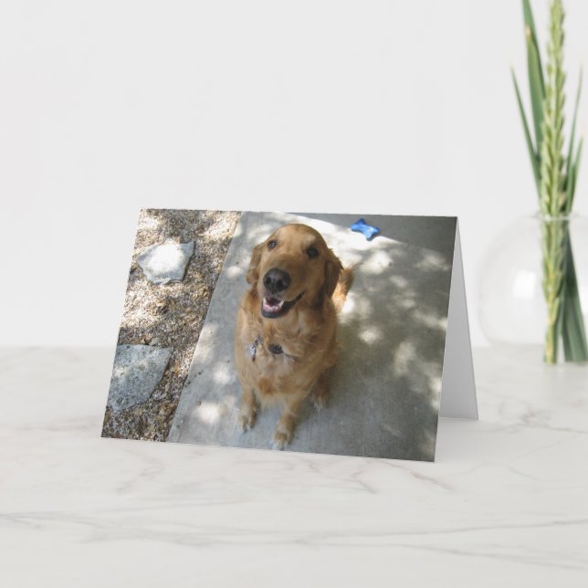Lycklig Golden Retriever Kort (Framsida)
