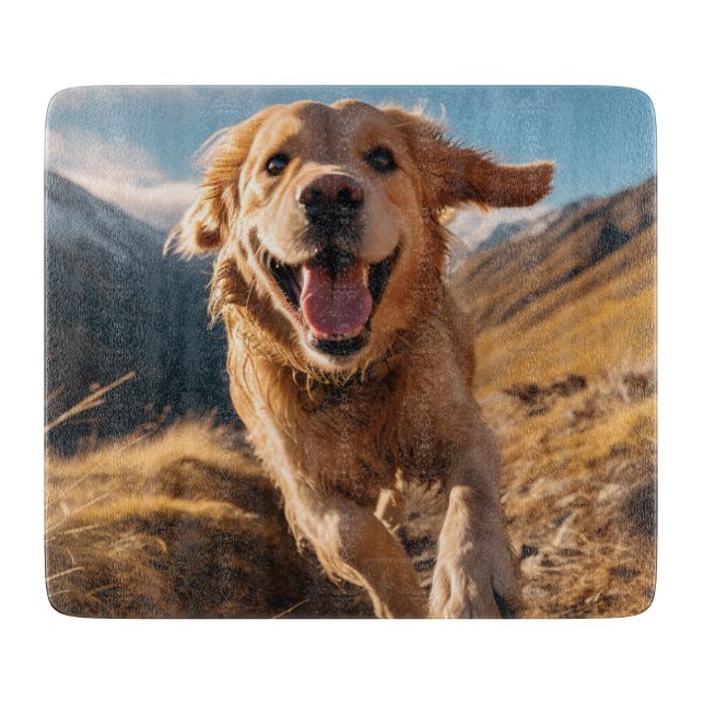 Lycklig Golden Retriever Running (Framsidan)