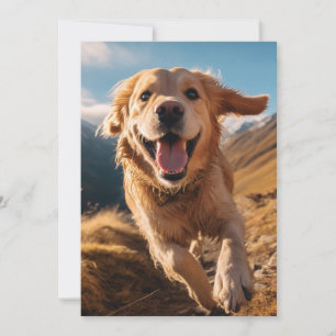 Lycklig Golden Retriever Running Julkort