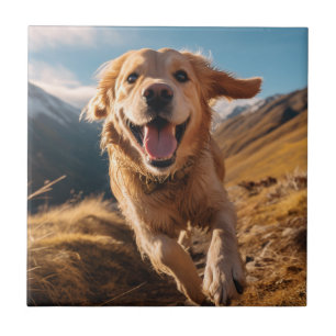 Lycklig Golden Retriever Running Kakelplatta