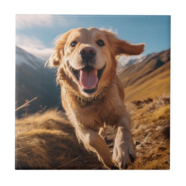 Lycklig Golden Retriever Running Kakelplatta (Framsidan)