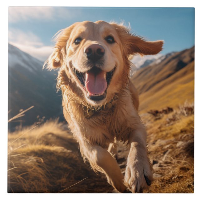Lycklig Golden Retriever Running Kakelplatta (Framsidan)