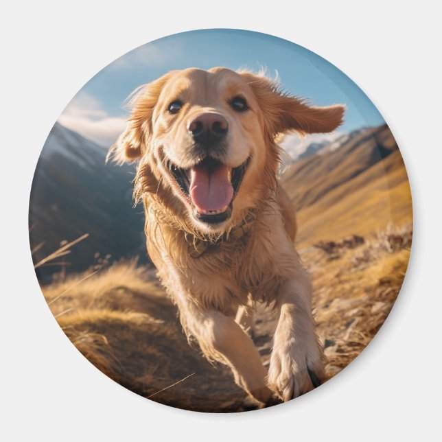 Lycklig Golden Retriever Running Magnet (Framsidan)
