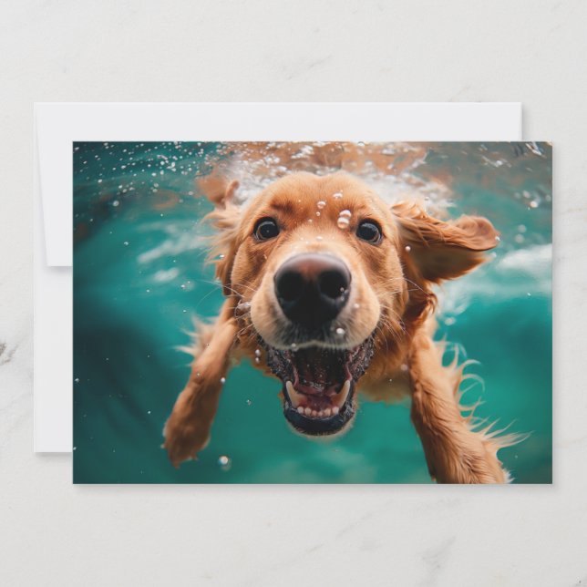 Lycklig Golden Retriever Swimming Underwater Kort (Framsida)