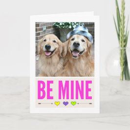 Lycklig Golden Retrievers är alla hjärtans dag Helgkort