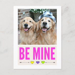 Lycklig Golden Retrivers är alla hjärtans dag Helg Vykort