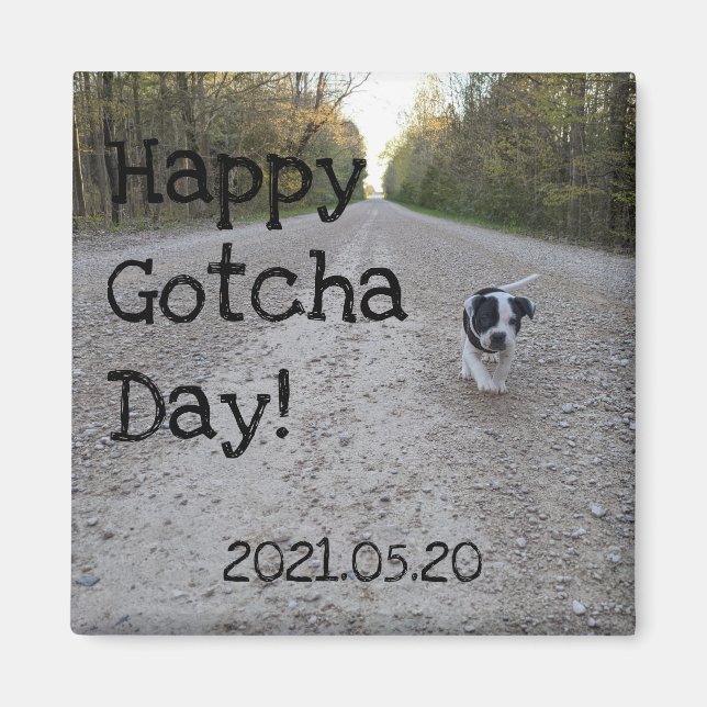 Lycklig Gotcha Day Pet Magnet (Framsidan)