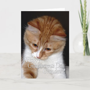 Lycklig Grandföräldrar Day Grandma Cute Cat Kort