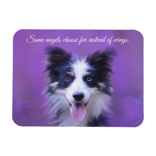 Lycklig Gräns Collie Hund, ängel med Päls Magnet (Horisontell)