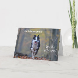 Lycklig Gräns Collie hund födelsedagskort Kort