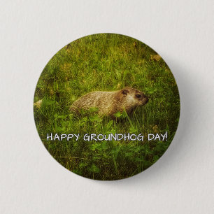 Lycklig Groundhog dag! knäppas Knapp