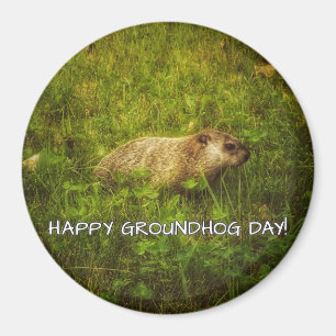 Lycklig Groundhog dag! magnet