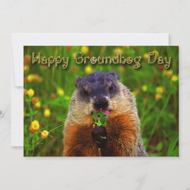 Lycklig Groundhog dag som äter blomman Inbjudningar (Framsida)