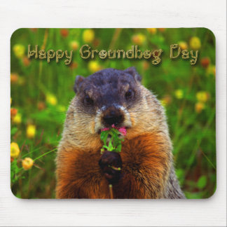 Lycklig Groundhog dag som äter blomman Musmatta