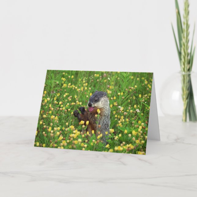 Lycklig Groundhog Day Card! Kort (Framsida)