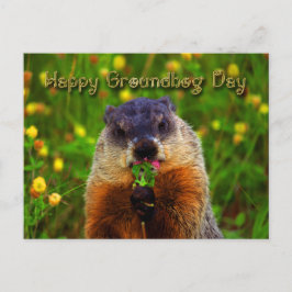 Lycklig Groundhog Day EEG Flower Vykort