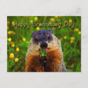 Lycklig Groundhog Day EEG Flower Vykort