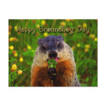 Lycklig Groundhog Day EEG Flower