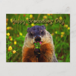 Lycklig Groundhog Day EEG Flower Vykort