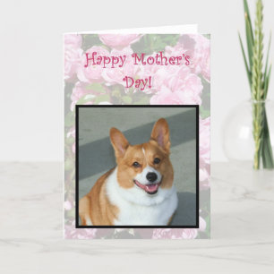 Lycklig-hälsningskort för walesiska Corgi Kort