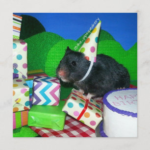 Lycklig Hamster Birthday! Kort