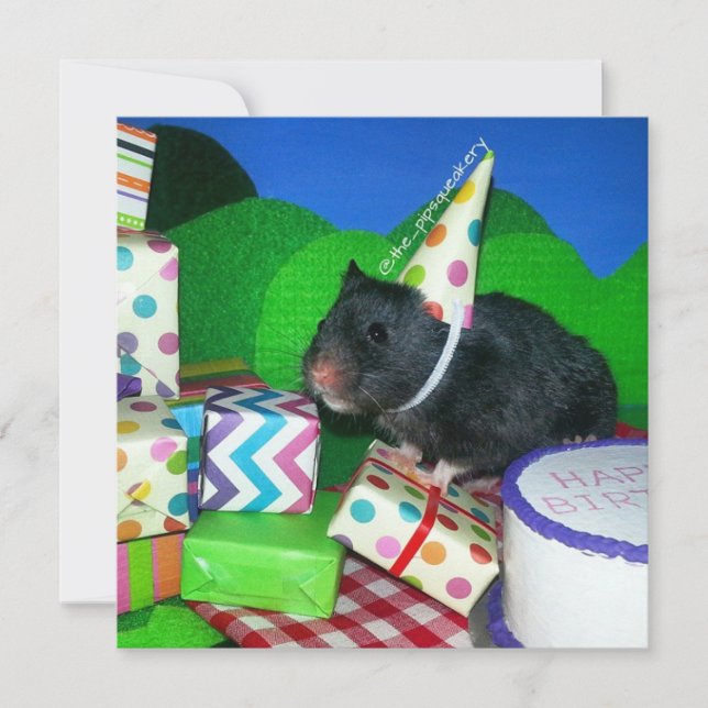Lycklig Hamster Birthday! Kort (Framsida)