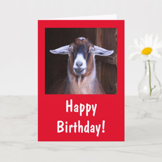 Lycklig Handsome Goat Birthday Kort (Liten växt)