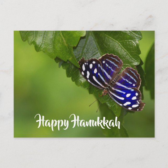 Lycklig Hanukkah blue och white butterfly Helg Vykort (Framsida)