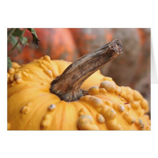 Lycklig Harvest! Hälsningskort (Framsidan Horizontal)