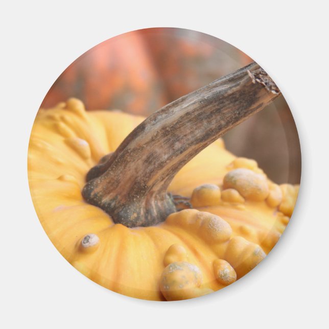 Lycklig Harvest! Magnet (Framsidan)