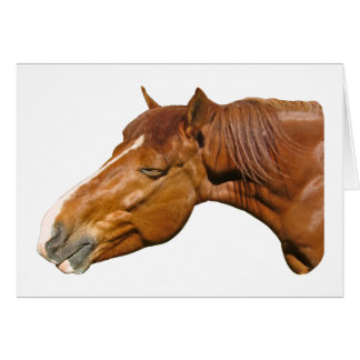 Lycklig häst hälsningskort